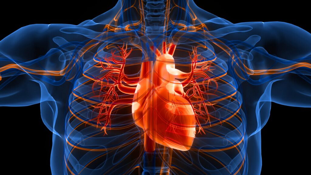 Cardiac Physiology - Wisconsin Anesthesia